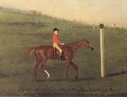 Francis Sartorius 'Eclipse' with Jockey up walking the Course for the King's Plate 1776 oil painting